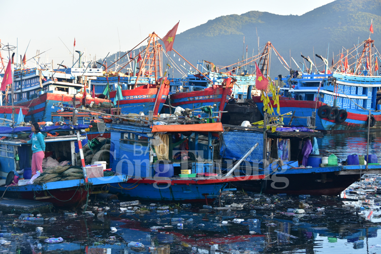 Nhức nhối ô nhiễm môi trường cảng cá Thọ Quang
