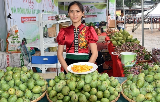 Yên Châu: Đẩy mạnh phong trào thi đua xây dựng nông thôn mới