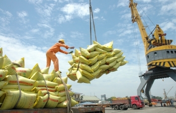 182 thương nhân đủ điều kiện kinh doanh xuất khẩu gạo