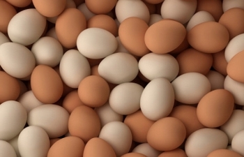 Công bố hạn ngạch thuế quan nhập khẩu muối, trứng gia cầm năm 2019