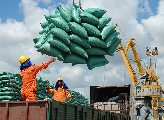 Gạo Ấn Độ tăng nhập khẩu vào Việt Nam, Bộ Công Thương vào cuộc