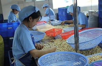 Ảnh hưởng dịch bệnh, sản xuất công nghiệp và thương mại tỉnh Đắk Nông tăng trưởng nhẹ