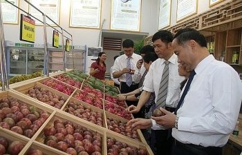 Xuất khẩu nông sản Sơn La tăng trưởng khả quan