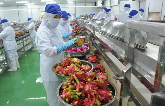 Giải pháp nào xuất khẩu nông sản bền vững sang thị trường Trung Quốc?