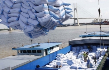 42 doanh nghiệp được cấp phép kinh doanh xuất khẩu gạo theo Nghị định 107