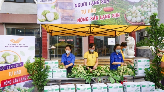 Gỡ khó đầu ra, đưa sản phẩm na Chi Lăng lên sàn thương mại điện tử