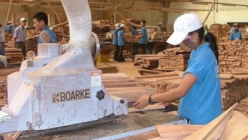 Doanh nghiệp nhập khẩu gỗ vào Australia phải đáp ứng yêu cầu mới