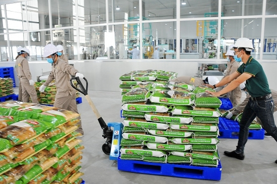 Đầu tư cho chất lượng, xuất khẩu gạo tăng mạnh về giá trị