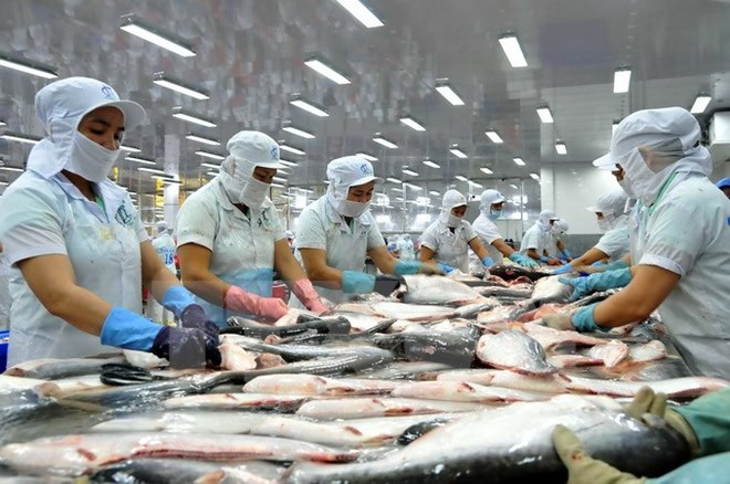 Ả rập Xêut - thị trường thay thế tiềm năng cho cá tra Việt