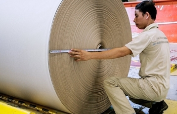 Quản lý nhập khẩu phế liệu sản xuất giấy: Doanh nghiệp lên tiếng
