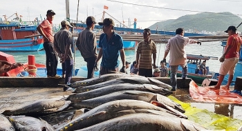 Xuất khẩu cá ngừ năm 2022 dự kiến đạt trên 1 tỷ USD