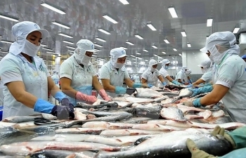 Mỹ giảm thuế, cơ hội nào cho cá tra Việt Nam?