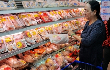 Nhập khẩu thịt gà không phải nguyên nhân chủ yếu tác động tiêu cực đến ngành chăn nuôi trong nước