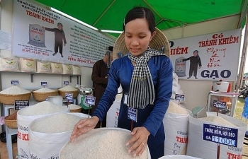 Xuất khẩu gạo: Gạo thơm chiếm “ngôi đầu”