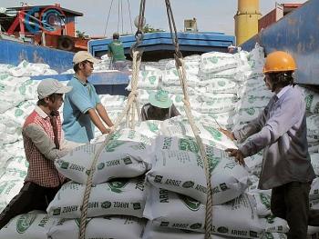 Cơ hội xuất khẩu 500.000 tấn gạo sang Philippines