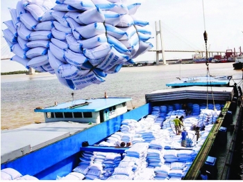 Cơ hội đẩy mạnh xuất khẩu gạo sang Trung Quốc