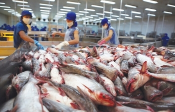 Mỹ công bố Luật công nhận Việt Nam đủ điều kiện xuất khẩu cá da trơn