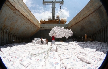 Philippines và Bờ Biển Ngà là thị trường lớn nhất của gạo Việt Nam