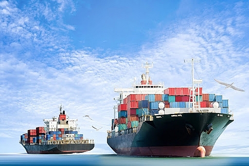 Kiểm tra giá vận chuyển container của một số hãng tàu ngoại