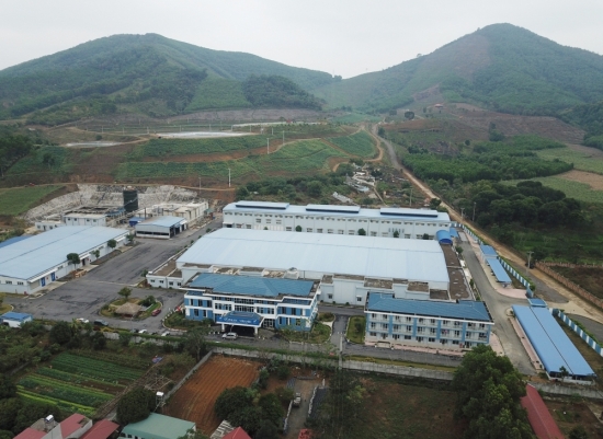 Phát triển bền vững cây gai xanh ở vùng núi Thanh Hoá