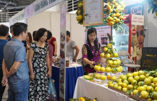 Quảng Ninh: Tạm dừng tổ chức Hội chợ OCOP Xuân 2021