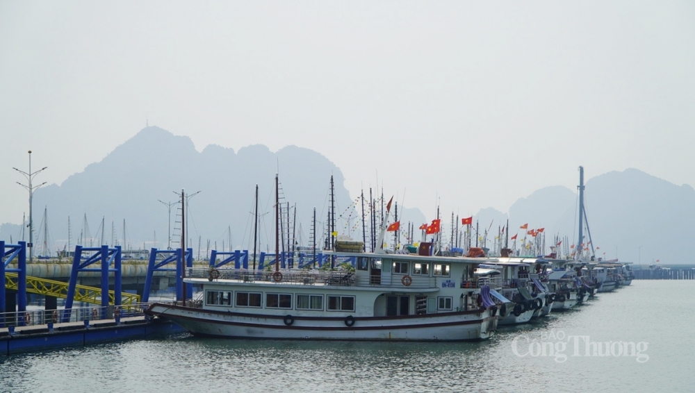 Quảng Ninh từng bước khôi phục hoạt động du lịch