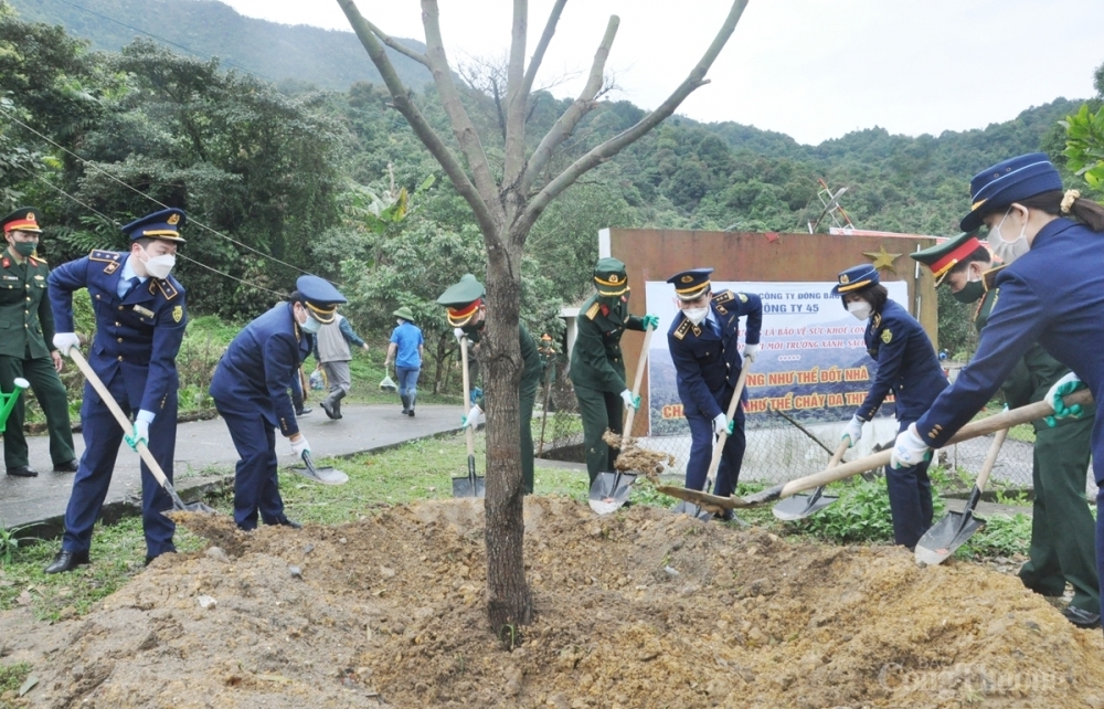 Cục QLTT Quảng Ninh phối hợp cùng Công ty 45 trồng mới 2000 cây xanh