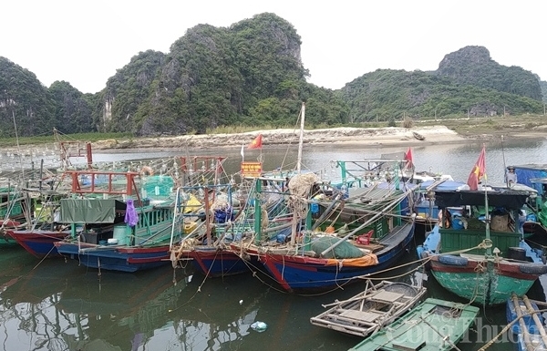 Quảng Ninh: Khu tái định cư làng chài Hà Phong chông chênh giữa mùa dịch