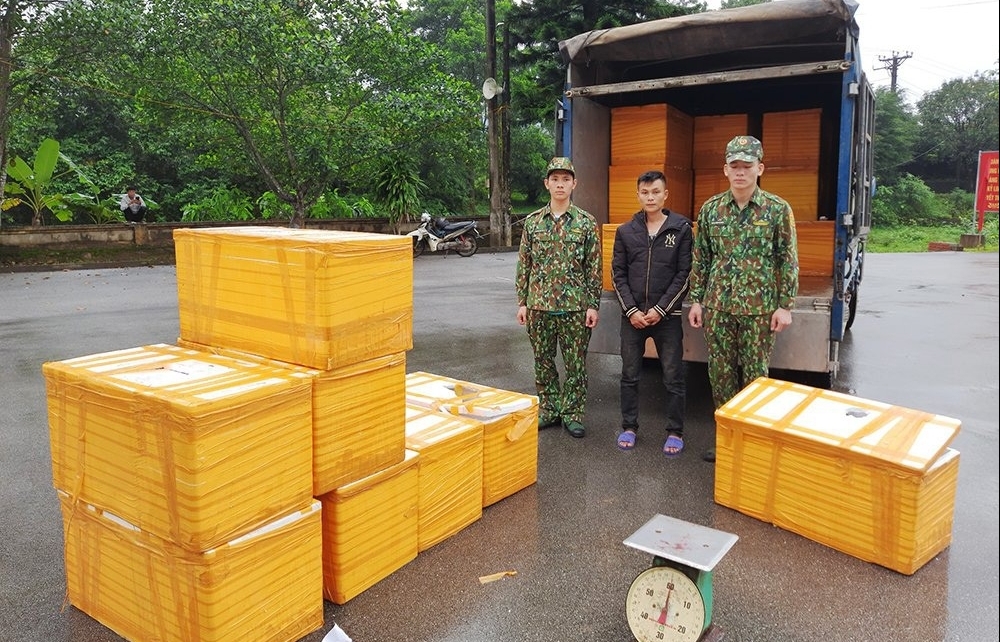 Quảng Ninh: Bắt giữ 500 kg cá tầm nhập lậu từ Trung Quốc