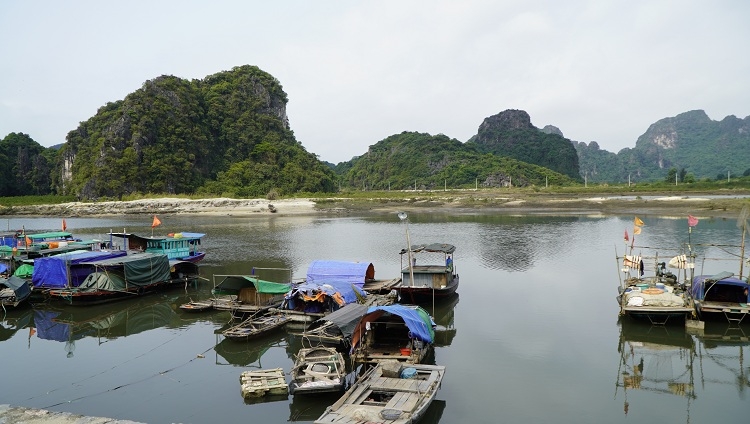 Quảng Ninh tăng cường công tác bảo vệ nguồn lợi thủy sản