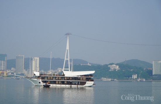 Quảng Ninh: Tìm giải pháp gỡ khó cho doanh nghiệp kinh doanh tàu du lịch