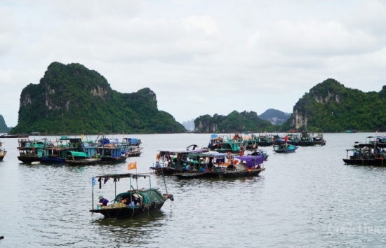 Tỉnh Quảng Ninh tìm cách gỡ khó cho các chủ tàu thuyền khi giá nhiên liệu tăng cao
