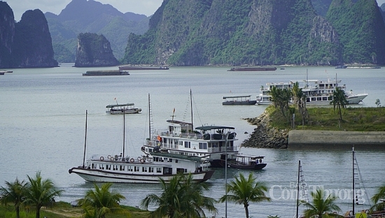 Quảng Ninh tạm cấm biển để chống bão Sinlaku