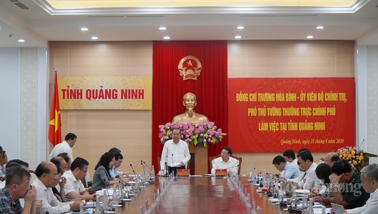 Quảng Ninh cần sẵn sàng mọi điều kiện để tăng tốc phát triển kinh tế