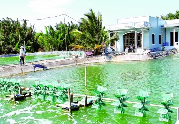 Aquaculture fishing for renewable energy investment