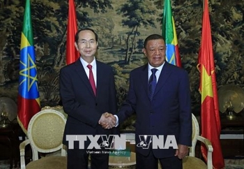 Chủ tịch nước Trần Đại Quang hội đàm với Tổng thống Ethiopia