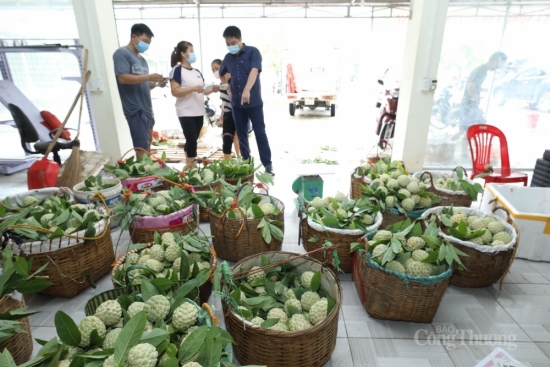 Chuỗi chương trình xúc tiến thương mại nâng cao giá trị sản phẩm na Chi Lăng