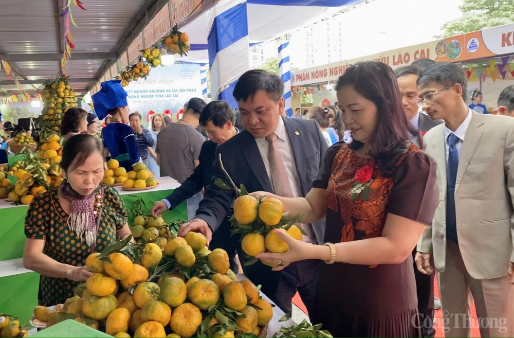 Kết nối, phát triển thị trường cho sản phẩm quýt Mường Khương và nông nghiệp tỉnh Lào Cai