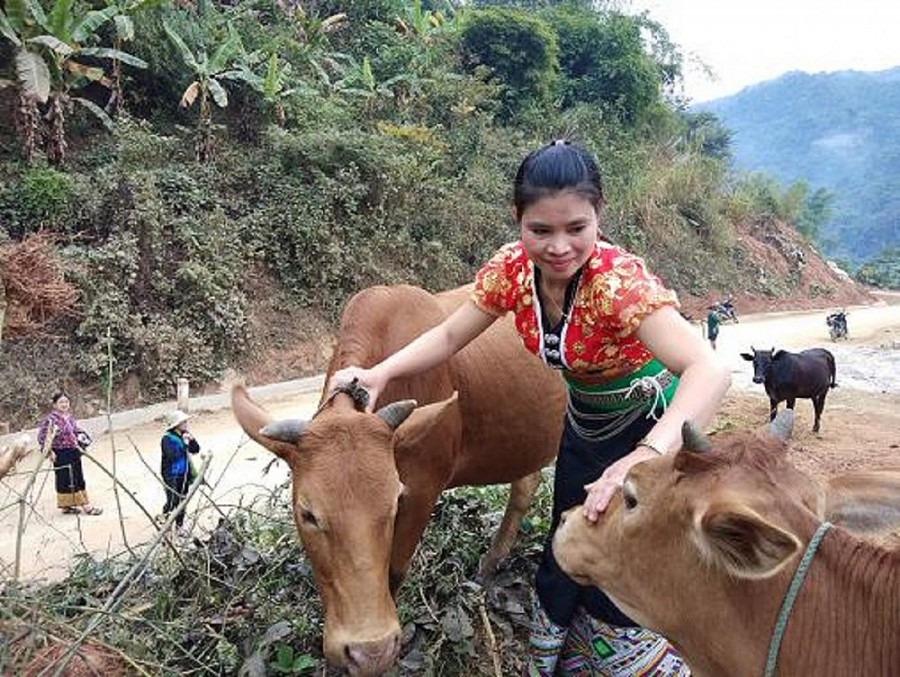 Ngành Lao động, Thương Binh và Xã hội Thanh Hóa nỗ lực hoàn thành tốt nhiệm vụ năm 2022