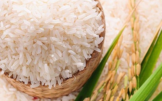 Xuất khẩu gạo dự kiến năm 2022 sẽ đạt khoảng 3,2 – 3,3 tỷ USD