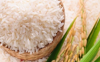 Xuất khẩu gạo năm 2022 dự kiến đạt khoảng 3,2 – 3,3 tỷ USD