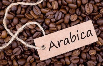 Giá cà phê arabica sẽ phục hồi trong năm 2020