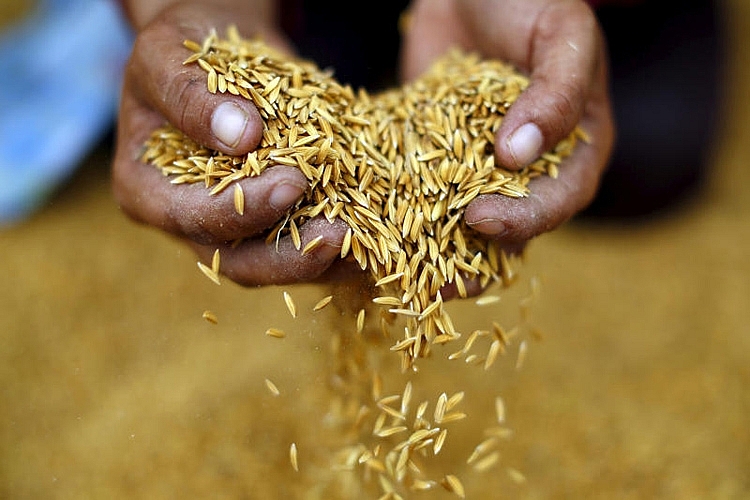 Chuyên gia Thái Lan đánh giá cao chiến lược gạo của Việt Nam