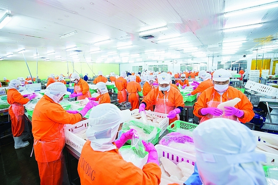 Chế biến thủy sản xuất khẩu tại Công ty Nam Việt