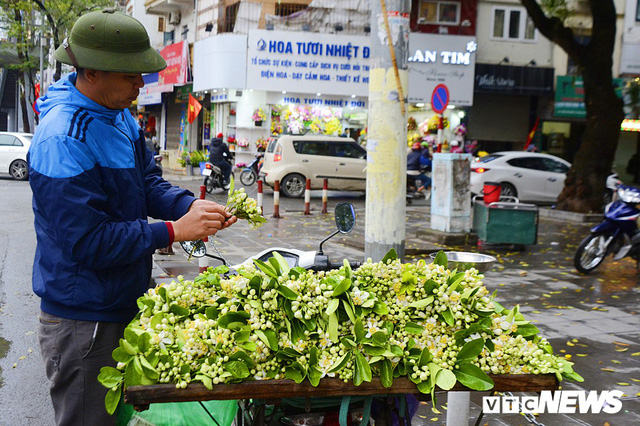 Hoa bưởi đầu mùa, giá tới 300.000 đồng/kg vẫn hút khách Hà Nội - Ảnh 2.