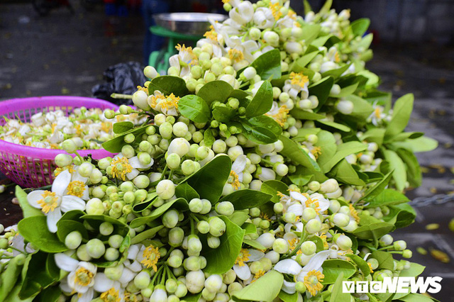 Hoa bưởi đầu mùa, giá tới 300.000 đồng/kg vẫn hút khách Hà Nội - Ảnh 12.