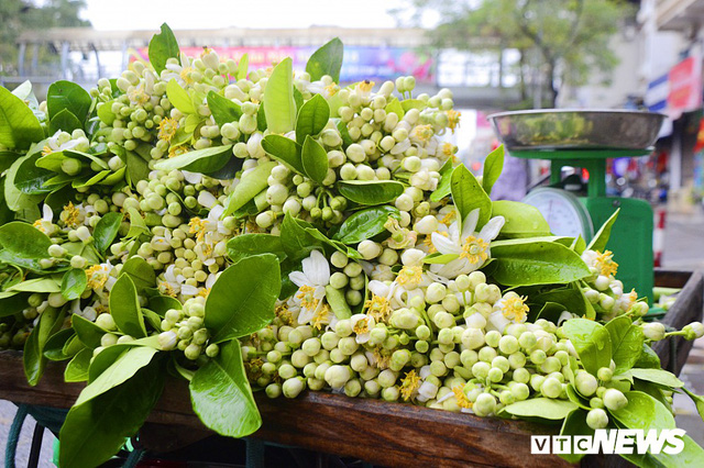 Hoa bưởi đầu mùa, giá tới 300.000 đồng/kg vẫn hút khách Hà Nội - Ảnh 6.