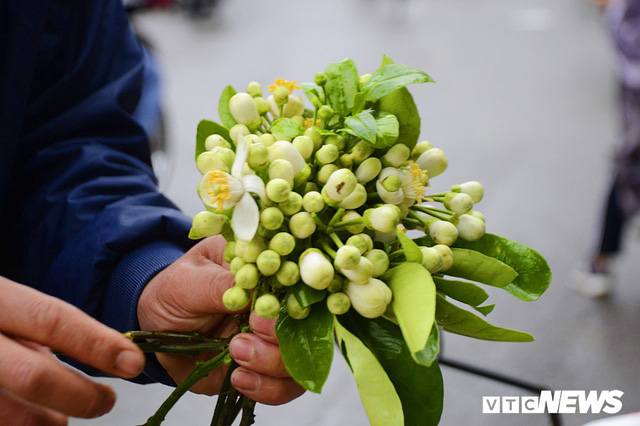 Hoa bưởi đầu mùa, giá tới 300.000 đồng/kg vẫn hút khách Hà Nội - Ảnh 7.