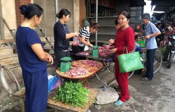 Rau xanh, hoa tươi ở Hà Nội rớt giá thê thảm sau Tết