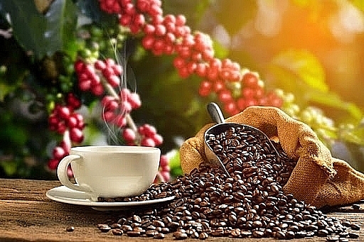 Cà phê sáng cửa nhờ giá xuất khẩu tăng